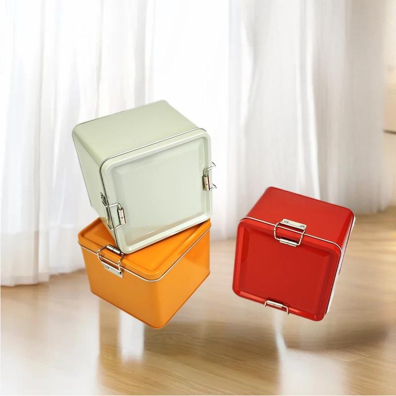 Scatola quadrata per biscotti  - Tin Container Lid recensione e prezzo