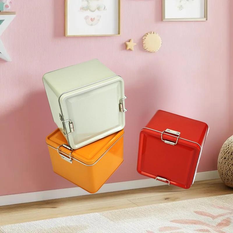 Scatola quadrata per biscotti  - Tin Container Lid recensione e prezzo