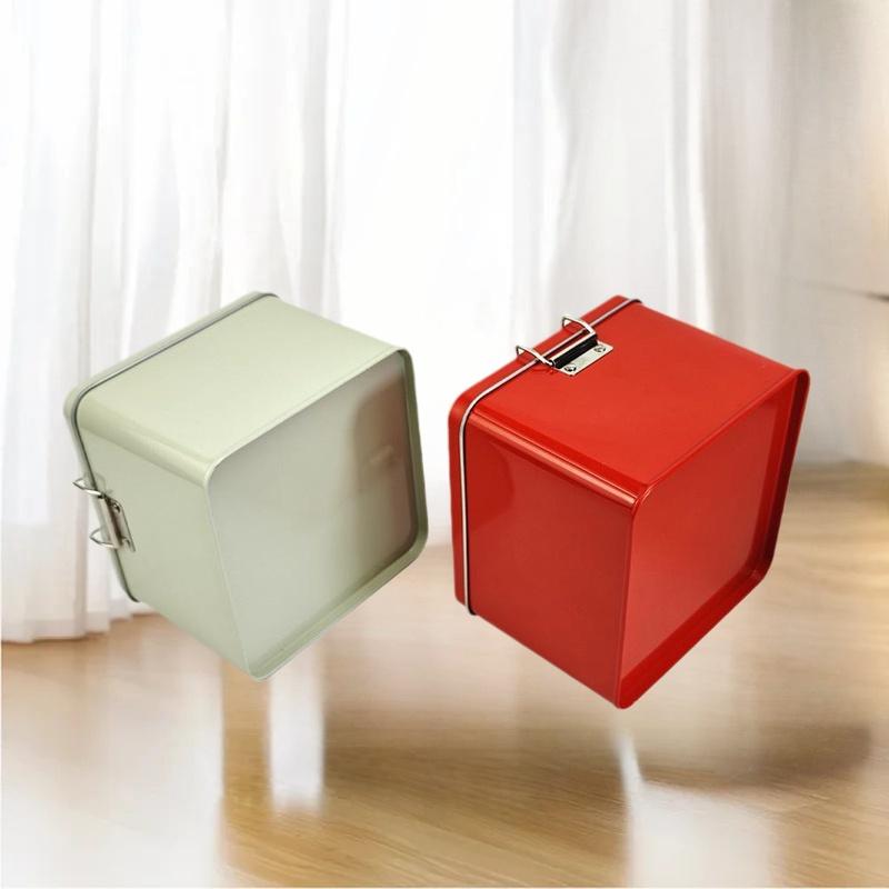 Scatola quadrata per biscotti  - Tin Container Lid recensione e prezzo